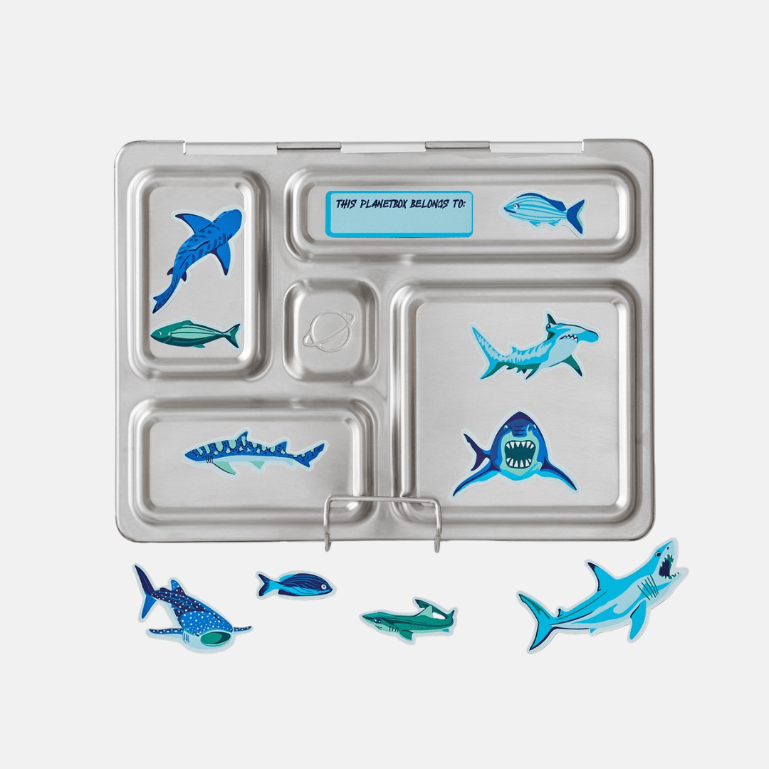 Blue shark themed magnet set