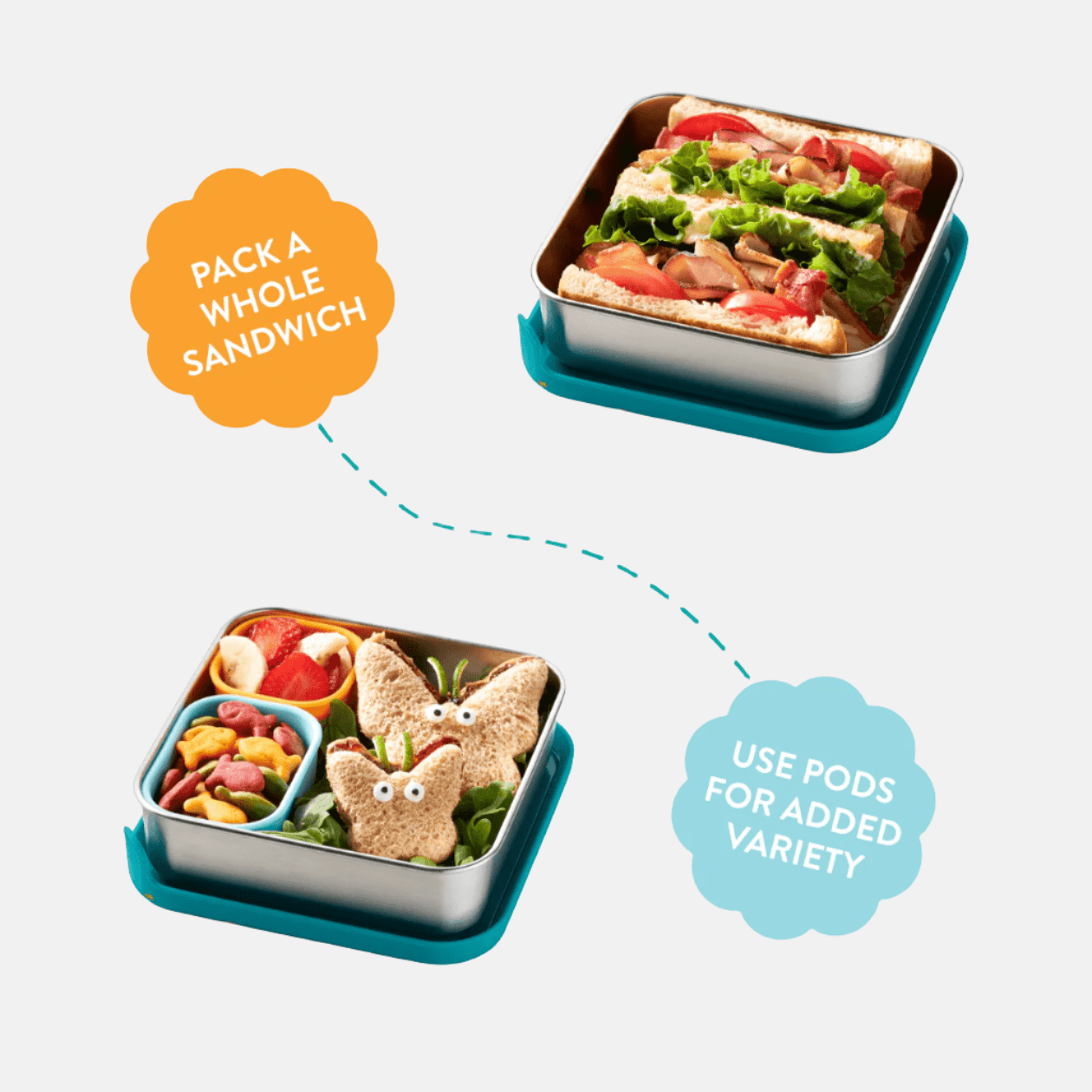 Trailblazer Sandwich Box