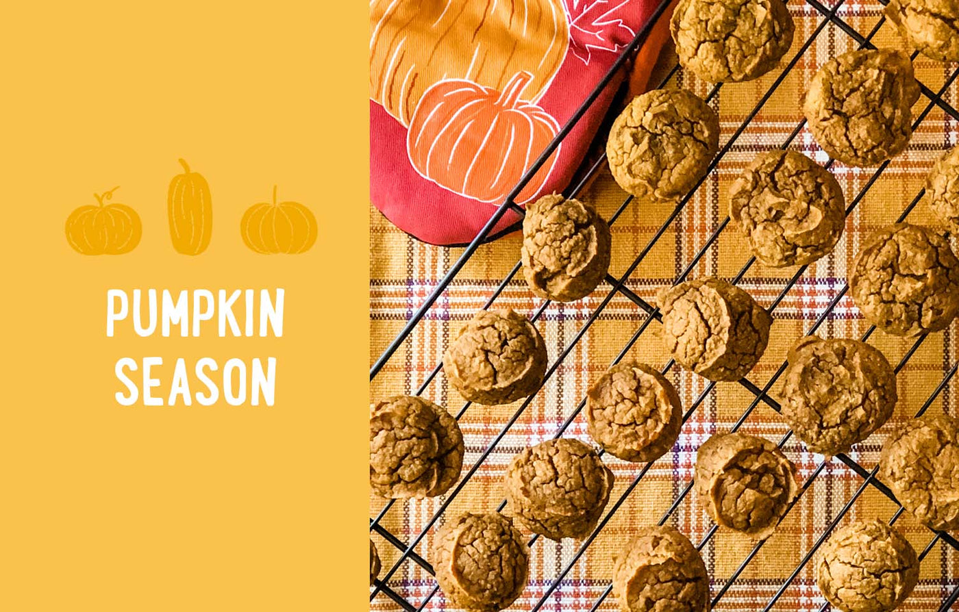 Recipes from the Pumpkin Patch