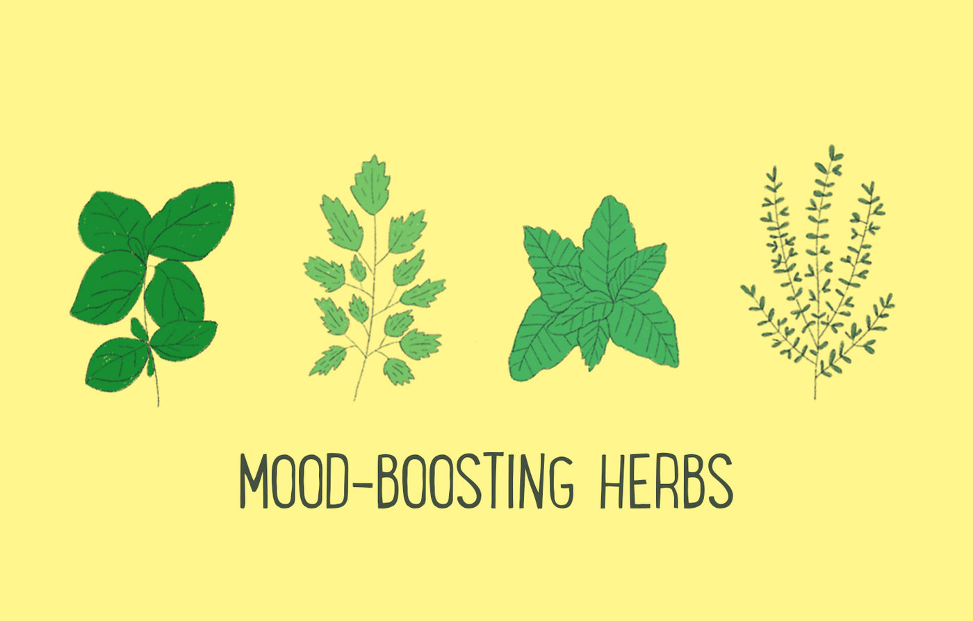 Herbs for Happiness