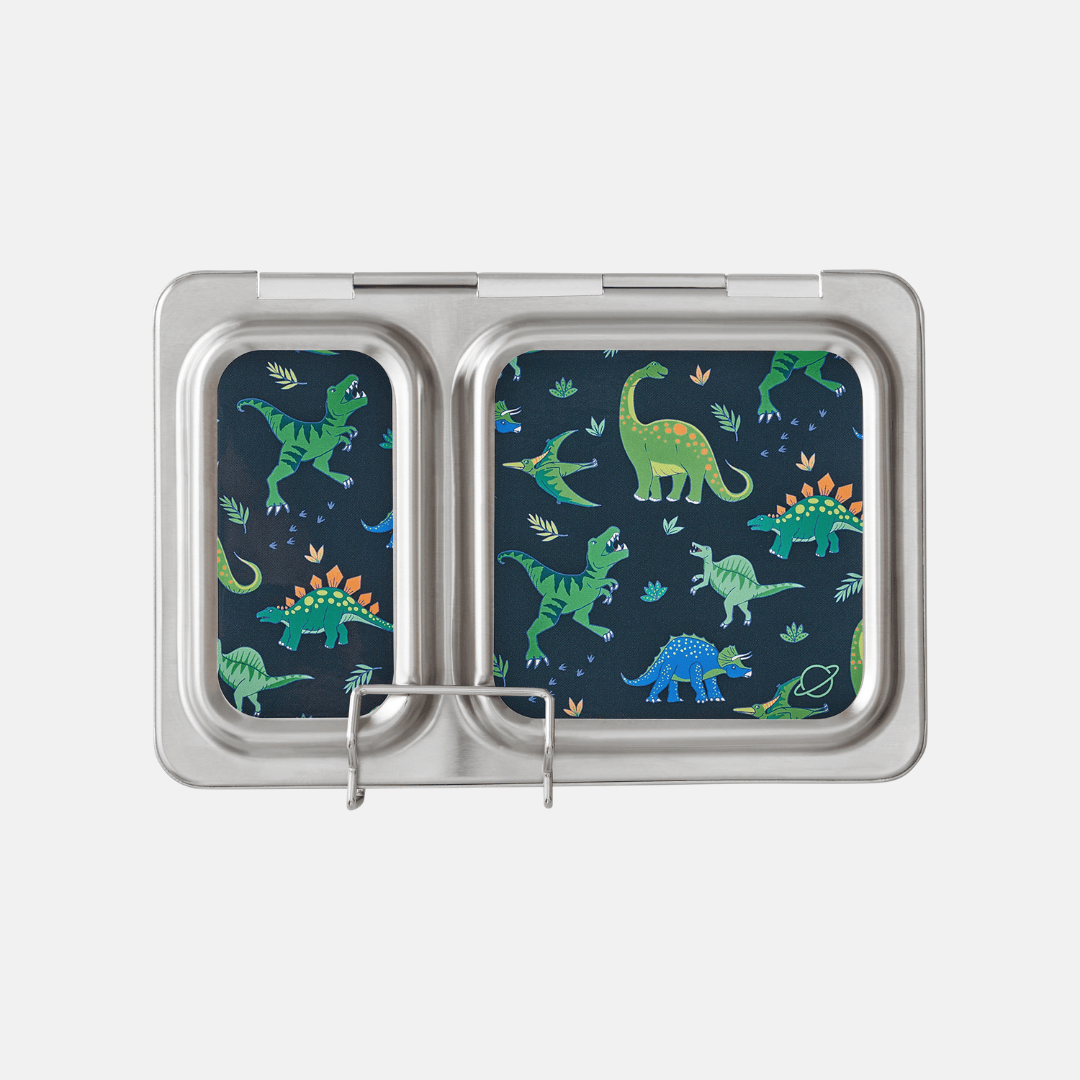 Green and blue dino print magnets on shuttle lunch box.