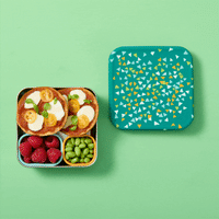 Trailblazer Sandwich Box