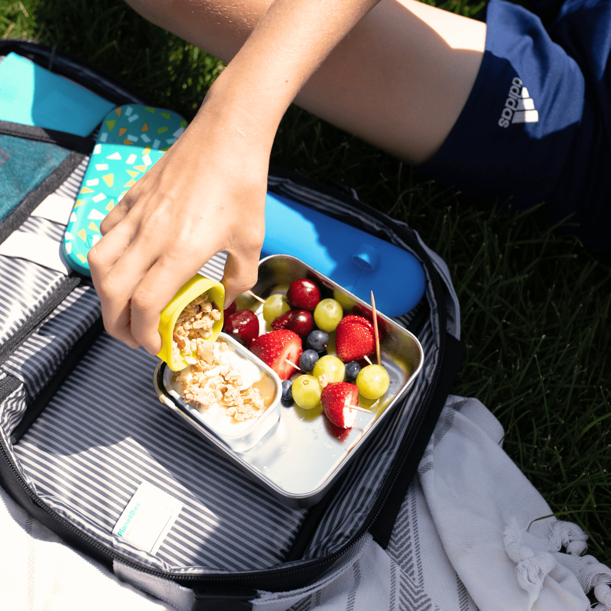 Trailblazer Sandwich Box